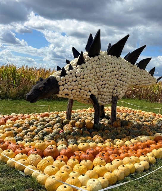 Die Dinos ziehen sich zurück in ihre Höhlen 🦖
Nach einer aufregenden Saison voller Abenteuer verabschieden wir uns in die Winterpause.
Danke an alle, die dieses Jahr Teil unserer Kürbiserlebniswelt waren – es hat so viel Spaß gemacht mit euch! Wir freuen uns jetzt schon auf das neue Motto im nächsten Jahr – seid gespannt! 👀✨

Aber bevor wir uns im nächsten Jahr mit einem neuen Motto zurückmelden, sehen wir uns natürlich vorher noch auf dem Erdbeerfeld 🍓☀️
Wir freuen uns schon jetzt auf ein Wiedersehen! 🥰