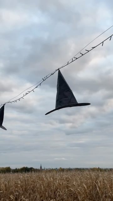 Heute ist der letzte Tag unserer Kürbiserlebniswelt! 🎃
Zum großen Finale wartet heute Abend noch ein ganz besonderes Highlight auf euch – unsere letzte Halloweennacht! 👻✨

Erlebt die Kürbiserlebniswelt und die Dinos in buntem Licht und entdeckt das Maislabyrinth bei Taschenlampenschein – ein Abenteuer für die ganze Familie! 🔦
Überall erwarten euch schaurig-schöne Halloween-Dekorationen, die für die perfekte, kindgerechte Gruselstimmung sorgen.
Die Kinder können sich noch einmal richtig austoben – beim Springen auf dem Riesenhüpfkissen oder beim Planschen im Maispool 🌽💛

Kommt gerne verkleidet, bringt eure Taschenlampe mit und genießt gemeinsam mit uns einen unvergesslichen Abend voller Spaß, Lichter und Herbstzauber 🍂🧙‍♀️

📅 nur noch heute von 13:00 - 21:30 Uhr
📍 Maislabyrinth Wallau: Theodor-Heuss-Straße, 65719 Hofheim

Wir freuen uns auf euch! 💫
Euer Team von Pauls Bauernhof 🧡

#letztertag #kürbiserlebniswelt #paulsbauernhof #maislabyrinth #halloween #funzelgang