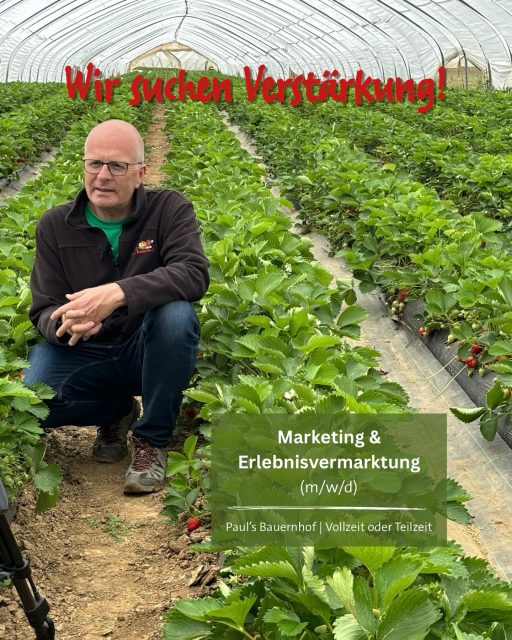 🌾 Wir suchen Verstärkung! 🌾Marketing & Erlebnisvermarktung (m/w/d)📍Paul’s Bauernhof | Vollzeit oder TeilzeitDu liebst regionale Produkte, kreative Marketingideen und möchtest dort arbeiten, wo andere ihre Freizeit verbringen? Dann komm zu uns auf den Hof! 🧑🏻‍🌾Was dich erwartet:• Vermarktung unserer saisonalen ProdukteFrühjahr & Sommer: Erdbeeren, Himbeeren, Heidelbeeren 🍓Herbst: Kürbisse 🎃• Konzeption & Weiterentwicklung unseres Maislabyrinths und unserer Kürbiserlebniswelt• Planung & Umsetzung von Marketingaktionen (online & vor Ort)• Kommunikation über Social Media, Website & Newsletter• Mitwirkung bei Events & saisonalen Highlights• Zusammenarbeit mit unserem Hof-Team bei neuen IdeenDas bringst du mit:✔️ Erfahrung oder Ausbildung im Marketing, Kommunikation oder Eventbereich✔️ Kreativität, Organisationstalent & Freude an saisonaler Arbeit✔️ Interesse an regionaler Landwirtschaft✔️ Selbständige & strukturierte ArbeitsweiseDas bieten wir dir:🌱 Abwechslungsreiche Arbeit im Rhythmus der Natur💡 Viel Raum für eigene Ideen🤝🏻 Familiäres Arbeitsumfeld⏰ Flexible, saisonal angepasste Arbeitszeiten💶 Faire VergütungInteresse? Dann schreib uns an reiner.paul@pauls-bauernhof.deTeile den Beitrag gerne mit jemandem, der perfekt zu uns passt!#marketing #stellenausschreibung #hessen
