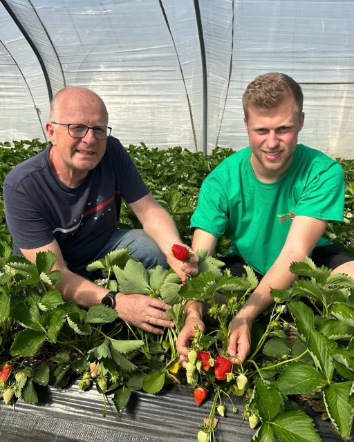 Es geht los… unsere Erdbeersaison startet! 😍🍓 Ab morgen eröffnen wir nach und nach unsere Verkaufsstände.

👉🏻 Swipe nach rechts für alle Verkaufsstände & Zeiten

Wir freuen uns auf euch! 🌸

#erdbeeren #erdbeersaison #regional