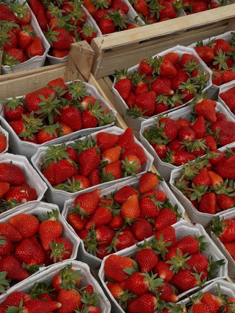 Es ist soweit 😍 die schönste Zeit des Jahres beginnt! 🍓
Ab heute bekommt ihr die ersten frisch gepflückten Erdbeeren an unseren Verkaufsständen.

📍Wallau
🕗 Mo-Fr 8:00-19:00 Uhr | Sa+So 8:00-18:00 Uhr

📍Globus Wiesbaden-Nordenstadt
🕘 Mo-Fr 9:00-18:00 Uhr | Sa 8:00-18:00 Uhr

Kommt vorbei! Wir freuen uns auf euch 🌸

#erdbeeren #erdbeersaison #regional #wiesbaden