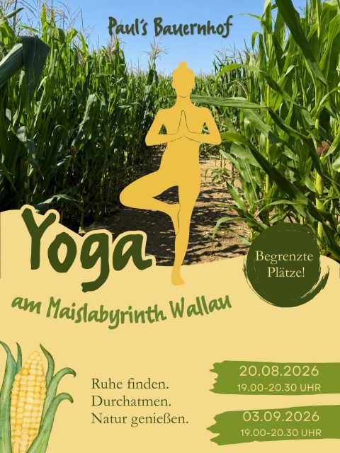 🌿 Ruhe finden. Durchatmen. Natur genießen.
Zwischen Familie, Alltag und all den kleinen To-dos kommt eine entspannte Auszeit oft viel zu kurz.
Deshalb wird es bei uns im Maislabyrinth in Wallau dieses Jahr nicht nur für die Kleinen spannend:
Wir laden euch zu zwei besonderen YOGA-ABENDEN mitten in der Natur ein 🧘🏻♀️✨
Am 20.08. und 03.09. könnt ihr bei einer 90-minütlichen Yoga-Einheit abschalten, durchatmen und einfach mal eine schöne Zeit inmitten der Natur genießen.
Die Teilnahme ist komplett kostenfrei! 🧡
Aber bitte beachtet: die Plätze sind begrenzt.
📅 20. August & 03. September
🕖 jeweils 19:00 - 20:30 Uhr
Mehr Infos und Anmeldung auf unserer Website
www.pauls-bauernhof.de
#yoga #maislabyrinth #auszeit