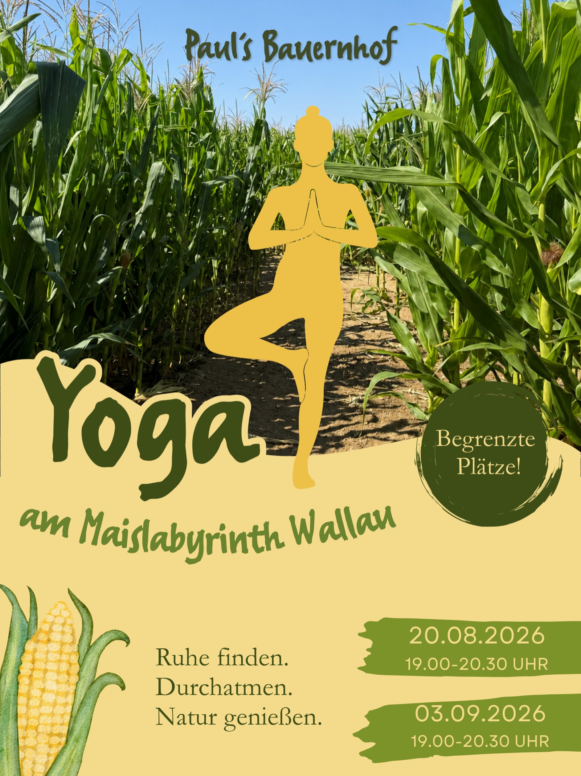 🌿 Ruhe finden. Durchatmen. Natur genießen.
Zwischen Familie, Alltag und all den kleinen To-dos kommt eine entspannte Auszeit oft viel zu kurz.
Deshalb wird es bei uns im Maislabyrinth in Wallau dieses Jahr nicht nur für die Kleinen spannend:
Wir laden euch zu zwei besonderen YOGA-ABENDEN mitten in der Natur ein 🧘🏻♀️✨
Am 20.08. und 03.09. könnt ihr bei einer 90-minütlichen Yoga-Einheit abschalten, durchatmen und einfach mal eine schöne Zeit inmitten der Natur genießen.
Die Teilnahme ist komplett kostenfrei! 🧡
Aber bitte beachtet: die Plätze sind begrenzt.
📅 20. August & 03. September
🕖 jeweils 19:00 - 20:30 Uhr
Mehr Infos und Anmeldung auf unserer Website
www.pauls-bauernhof.de
#yoga #maislabyrinth #auszeit