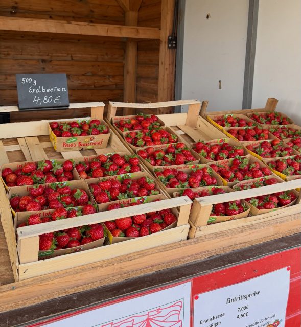 Alle Erdbeerfans aufgepasst: Wir haben gute Nachrichten! 🍓❤️
Unsere Erdbeer-Verkaufsstände haben zwar bereits geschlossen, aber auf unsere leckeren Erdbeeren müsst ihr noch nicht verzichten!
Ihr könnt sie weiterhin bei uns im Maislabyrinth kaufen und direkt vor Ort genießen oder natürlich mit nach Hause nehmen 🥰
Also: Maislabyrinth besuchen, Erdbeeren sichern und genießen! 🍓
🕙 Montag - Freitag von 14 - 19 Uhr
Samstag, Sonntag & Feiertage von 10 - 19 Uhr
📍an der Landstraße zwischen Hofheim-Wallau und Wiesbaden-Nordenstadt
#erdbeeren #maislabyrinth #paulsbauernhof