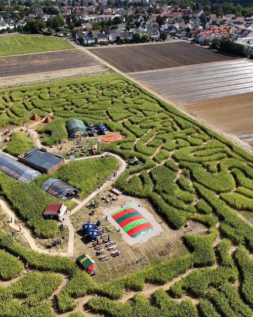 Wer findet den ZIRKUS Schriftzug in unserem Maislabyrinth? 👀🎪🔎
Swipe für die Auflösung 👉🏻
#rätsel #maislabyrinth #kürbiserlebniswelt