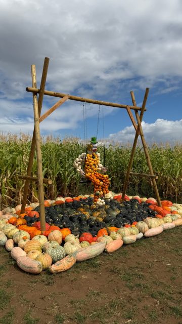 🎃 16 Kürbisfiguren haben wir dieses Jahr für euch aufgebaut - welche ist euer Favorit? 🧡

Habt ihr schon alle entdeckt?
Am Eingang könnt ihr euch eine Stempelkarte abholen und euch durch unseren Kürbiszirkus stempeln 🎪

Also: Augen auf! 🔎

#kürbiserlebniswelt #ausflugstipp #familienausflug
