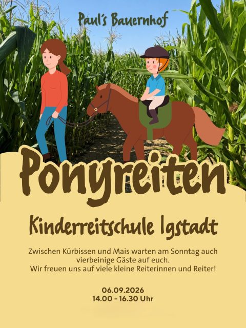 Ponyreiten bei unserem Kürbisfest! 🐴

Zwischen Kürbissen und Mais warten am Sonntag auch vierbeinige Gäste auf euch! Die Kinderreitschule Igstadt ist von 14:00 bis 16:30 Uhr bei uns und lädt zum Ponyreiten ein 🤎

📅 Sonntag, 06.09.2026 ⏰ Ponyreiten: 14:00–16:30 Uhr 📍 an der Landstraße zwischen Hofheim-Wallau und Wiesbaden-Nordenstadt

Und auch sonst ist bei unserem Kürbisfest einiges los: Freut euch auf einen bunten Familiennachmittag mit Torwandschießen mit dem TV Wallau ⚽️🎃 und vielen weiteren Kürbiserlebnissen auf unserem Hof.

Zum Abschluss laden wir euch um 18:00 Uhr zur Abendandacht ein✨

Kommt vorbei, wir freuen uns auf euch!