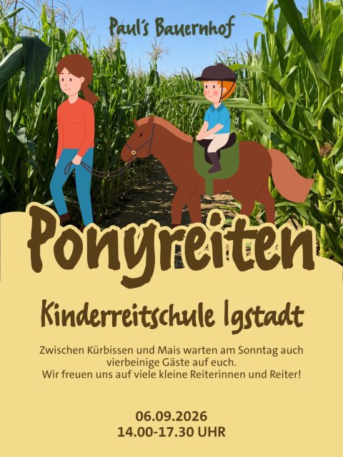 Ponyreiten bei unserem Kürbisfest! 🐴

Zwischen Kürbissen und Mais warten am Sonntag auch vierbeinige Gäste auf euch! Die Kinderreitschule Igstadt ist von 14:00 bis 17:30 Uhr bei uns und lädt zum Ponyreiten ein 🤎

📅 Sonntag, 06.09.2026 ⏰ Ponyreiten: 14:00–17:30 Uhr 📍 an der Landstraße zwischen Hofheim-Wallau und Wiesbaden-Nordenstadt

Und auch sonst ist bei unserem Kürbisfest einiges los: Freut euch auf einen bunten Familiennachmittag mit Torwandschießen mit dem TV Wallau ⚽️🎃 und vielen weiteren Kürbiserlebnissen auf unserem Hof.

Zum Abschluss laden wir euch um 18:00 Uhr zur Abendandacht ein✨

Kommt vorbei, wir freuen uns auf euch! 

#ponyreiten #pony #familienausflug