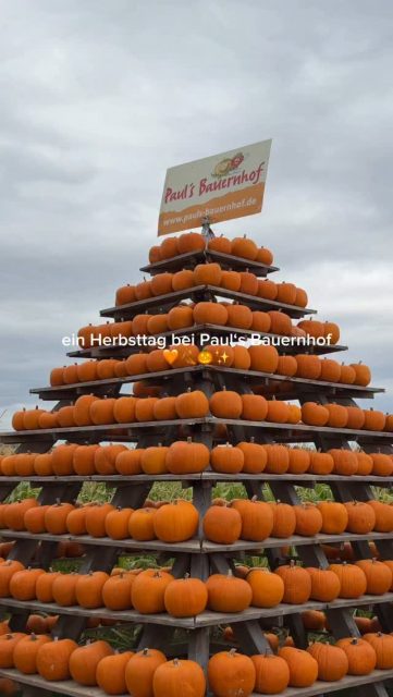Maislabyrinth, Kürbisfiguren, Hüpfkissen und natürlich jede Menge Leckeres… bei uns gibt es einiges zu entdecken und zu erleben 🧡🎃

🕑 Montag - Freitag: 14 - 19 Uhr
Samstag, Sonntag & Feiertage: 10 - 19 Uhr
 📍an der Landstraße zwischen Hofheim-Wallau und Wiesbaden-Nordenstadt

Kommt vorbei, wir freuen uns auf euch! 🍂

#familienausflug #kürbis #ausflugstipp #maislabyrinth