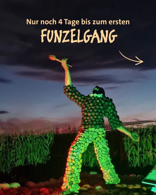 Endlich ist es wieder soweit - unsere FUNZELGÄNGE stehen an! 🔦🌽✨
Am Freitag 18. & Samstag 19. September könnt ihr unser Maislabyrinth wieder bei Nacht erleben. 🎃🕯️
Außerdem am 02. & 03. Oktober 💫
Wenn die Dämmerung einsetzt, wird es bei uns besonders stimmungsvoll - also packt eure Taschenlampen ein und ab geht’s ins Maislabyrinth! 🔦
📅 Freitag: 14:00 - 21:30 Uhr
📅 Samstag: 10:00 - 21:30 Uhr
🎟️ Tickets könnt ihr vorab online kaufen, müsst ihr aber nicht. Ihr könnt auch spontan vorbeikommen und Tickets vor Ort kaufen.
📍Bei uns in der Kürbiserlebniswelt
An der Landstraße zwischen Hofheim-Wallau und Wiesbaden-Nordenstadt
Kommt vorbei, wir freuen uns auf euch! 🧡
#maislabyrinth #kürbiserlebniswelt #familienausflug #ausflugstipp