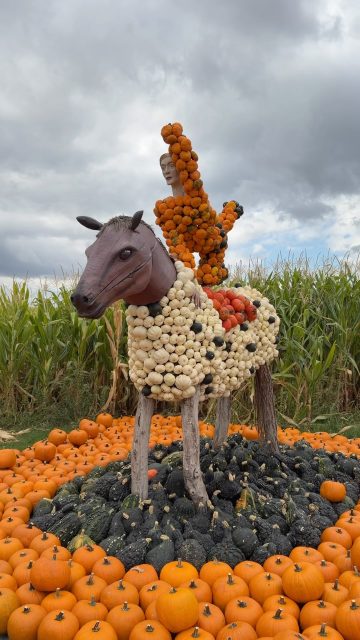 Herbsttag in der Kürbiserlebniswelt 🍂

Bunte Kürbisfiguren, herbstliche Stimmung und jede Menge zu entdecken: in unserer Kürbiserlebniswelt ist der Herbst eingezogen! 🎃

Und dieses Wochenende wird es noch ein bisschen besonderer. Unsere ersten Funzelgänge finden am Freitag & Samstag statt 🔦✨

Packt eure Taschenlampe ein, kommt vorbei und erlebt den Herbst auf Paul’s Bauernhof! 🧡

#maislabyrinth #kürbiserlebniswelt #paulsbauernhof #familienausflug #kürbis