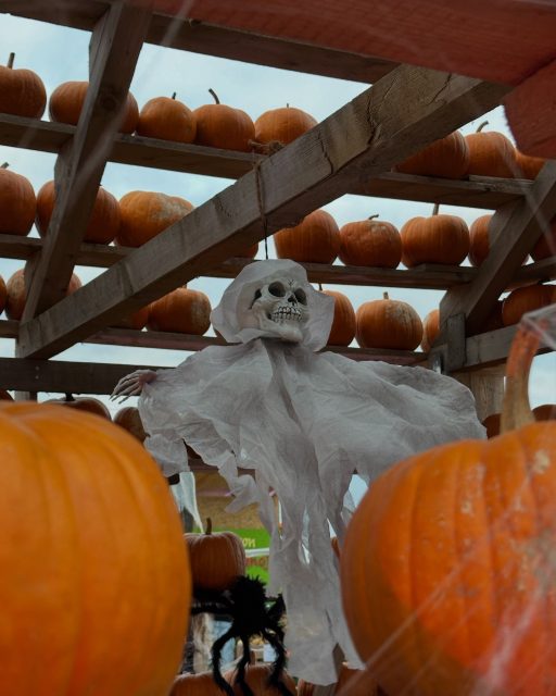 🎃🔦 Wenn es dunkel wird, wird’s erst so richtig spannend! 🌽✨
Unsere Funzelgänge und Halloween Nights stehen wieder an – und damit wird das Maislabyrinth bei Paul’s Bauernhof zum ganz besonderen Herbst-Erlebnis 👻
📅 FUNZELGÄNGE: 1., 2. & 3. Oktober jeweils bis 21:30 Uhr
Mit Taschenlampe durch das nächtliche Maislabyrinth und vorbei an unseren bunt beleuchteten Kürbisfiguren.
Perfekt für einen besonderen Herbstabend mit Familie & Freunden!
📅 HALLOWEEN NIGHTS: wochenends im Oktober
09.10. | 23. & 24.10. | 30. & 31.10.
Noch mehr Halloween-Stimmung, Dunkelheit & kinderfreundlicher Grusel im Maislabyrinth
🎟️ Tickets könnt ihr ganz einfach online oder vor Ort kaufen.
Alle Infos zu Zeiten, Tickets und den einzelnen Terminen findet ihr auf unserer Website.
Also: Taschenlampe schnappen, Freunde einpacken und ab ins nächtliche Maislabyrinth! 🔦🌽