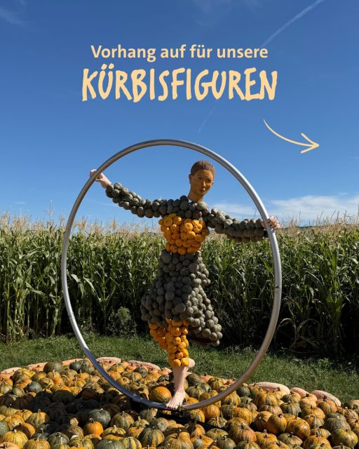 Vorhang auf für unsere Kürbisfiguren! 🎪✨🎃
In unserem Kürbiszirkus gibt es so einige besondere Charaktere zu entdecken. In den nächsten Wochen stellen wir euch nach und nach unsere Figuren vor.
Habt ihr schon einen Favoriten? 🧡
🎩 Pino – der Meister der Überraschungen
Pino liebt alles, was zum Staunen bringt. Mit Zaubertricks, Fantasie und einer guten Portion Humor sorgt unser Zauberclown für kleine magische Momente in der Manege. Und wer weiß, vielleicht versteckt sich in seinem Hut ja tatsächlich das ein oder andere Geheimnis … ✨
🎪 Bruno – der Stelzenkünstler
Bei Bruno geht es hoch hinaus! Auf seinen bunten Stelzen bewegt er sich sicher durch die Manege und zeigt, dass Gleichgewicht, Geduld und Übung echte Zirkuskunst ausmachen. Hoch über den Kürbissen ist er dabei kaum zu übersehen. 🎃
🚐 Carlo – der alte Zirkuswagen
Carlo hat schon viele Geschichten gesammelt. Früher zog er gemeinsam mit den Zirkuskünstlern von Ort zu Ort und war dabei nicht nur Transportmittel, sondern ein echtes Zuhause auf Rädern. Heute ist er Teil unseres Kürbiszirkus und erinnert an die abenteuerliche Welt des reisenden Zirkus. 🎪
✨ Luna – die Königin der Balance
Luna fühlt sich besonders wohl, wenn die Musik beginnt und die Lichter angehen. Mit viel Mut, Geduld und einem guten Gleichgewichtssinn zeigt sie ihre Kunststücke in der Manege und bringt die Zuschauer zum Staunen.
Und eines ist für Luna ganz klar: Zirkus bedeutet träumen, staunen und sich verzaubern lassen. ✨
Welche Figuren sind euch in der Kürbiserlebniswelt schon begegnet? ☺️
Kommt vorbei und findet heraus, wer noch zu unserer Zirkustruppe gehört! ⭐️