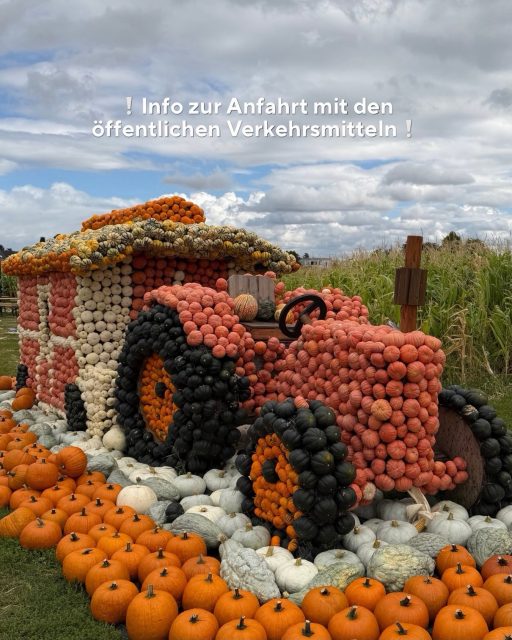 Herbstlicher Kürbis-Spaß – ganz entspannt mit Bus & Bahn! 🚌🎃

Ihr möchtet zur Kürbiserlebniswelt von Paul’s Bauernhof kommen und dabei das Auto stehen lassen? Das geht ganz einfach. 🧡

 kommt ihr zu uns:

📍 Von Wiesbaden:
Mit der Linie 44 bis zur Haltestelle „Am Rheingauer Weg“. Von dort sind es nur noch ca. 500 m zu Fuß bis zur Kürbiserlebniswelt.

📍 Von Hofheim:
Mit der Linie 262 bis zur Haltestelle „Ländcheshalle“.

📍 Von Wiesbaden oder Hochheim:
Mit der Linie 46 bis zur Haltestelle „Ländcheshalle“.

Und dann heißt es: Kürbisse entdecken, Maislabyrinth erkunden und einen schönen Herbsttag bei uns verbringen. 🎃🍂

Wir freuen uns auf euch! 🧡

#paulsbauernhof #kürbiserlebniswelt #maislabyrinth