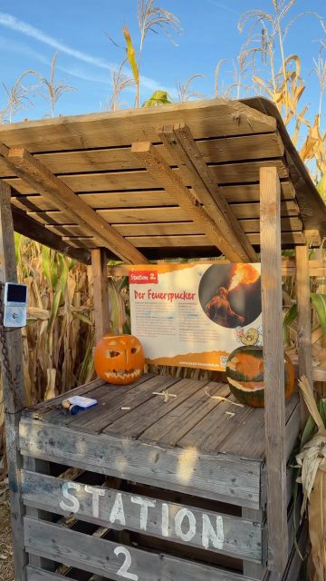 🎃 Ferienzeit ist Kürbiszeit! 🍂🧡

Während den Herbstferien sind wir täglich ab 10 Uhr für euch da! Perfekt für einen Familienausflug mit jeder Menge zu entdecken, staunen und erleben. 🎪🤸🏻‍♀️

Bei uns gibt es außerdem immer wieder neue Aktionen, besondere Events und tolle Angebote – deshalb lohnt es sich, regelmäßig auf unserer Website vorbeizuschauen!

Also Familie einpacken, vorbeikommen und gemeinsam einen schönen Herbsttag bei uns in der Kürbiserlebniswelt verbringen. 🍂🧡

Wir freuen uns auf euch! 🥰