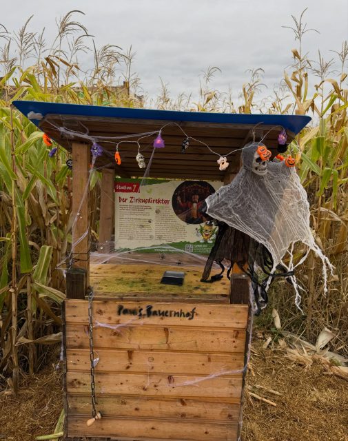 🎃 Wenn die Kürbiserlebniswelt in schaurig-schönes Licht getaucht wird, sind die Halloween Nights zurück! 👻✨
Freut euch auf leuchtende Kürbisse, geheimnisvolle Wege, bunt beleuchtete Kürbisfiguren und eine ganz besondere Atmosphäre, die Groß und Klein in Halloween-Stimmung bringt 🕯️🌙
Unsere Halloween Nights 2026:
10. Oktober | 23. & 24. Oktober | 30. & 31. Oktober
An allen Terminen bis 21:30 Uhr
Und wer sich traut, kann auch unser Maislabyrinth im Dunkeln erkunden – Taschenlampe nicht vergessen! 🔦🌽
Schnappt euch eure Liebsten und erlebt die Halloween Nights bei Paul’s Bauernhof selbst.
Wir freuen uns auf euch! 🧡
#paulsbauernhof #halloweennights #kürbiserlebniswelt #maislabyrinth #halloween
