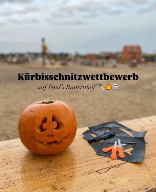 Kürbisschnitzwettbewerb auf Paul’s Bauernhof 🎃

Letztes Jahr habt ihr so fleißig geschnitzt und so viele tolle Kürbis-Kunstwerke gezaubert, dass wir dieses Jahr in die zweite Runde gehen! 🧡🏆

Zeig uns dein schönstes Kürbis-Kunstwerk und gewinne einen Gutschein für die Paul’s Bauernhof-Welt!

🥇 1. Platz: 100 € Gutschein
🥈 2. Platz: 50 € Gutschein
🥉 3. Platz: 25 € Gutschein

So läuft’s ab:
🧡 Schnitze deinen Kürbis und schick uns bis zum 31. Oktober ein Foto per DM. 📸
🧡 Am 1. November starten wir das große Voting in unserer Instagram-Story. Unsere Follower wählen aus den 8 schönsten Kürbissen ihren Favoriten.
🧡 Am 2. November verkünden wir den Gewinner oder die Gewinnerin per Direktnachricht!

Also: Ran an die Kürbisse und losgeschnitzt! 🔪🎃

#kürbisschnitzen #kürbis #paulsbauernhof #familienausflug