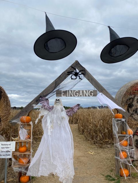 🎃👻 Am Wochenende wird es bei uns wieder schaurig schön!
Zwischen kinderfreundlicher Halloween-Deko, bunt beleuchteten Kürbisfiguren und einer ganz besonderen Atmosphäre könnt ihr unser Maislabyrinth auch an diesem Wochenende wieder bei Dunkelheit entdecken 🌙
📅 Freitag 23. Oktober & Samstag 24. Oktober
⏰ jeweils bis 21:30 Uhr
Freut euch auf leuchtende Kürbisse, herbstliche Stimmung und ein kleines Halloween-Abenteuer für die ganze Familie.
Ob mit Freunden oder den Kids: unsere Halloween Nights sind die perfekte Gelegenheit, den Herbst von seiner schaurig-schönen Seite zu erleben. 🧡
Also schnappt euch eure Liebsten und erlebt unser Maislabyrinth mal auf eine ganz andere Art!
Wir freuen uns auf euch! 🎃🕸️
#maislabyrinth #halloween #familienausflug #ausflugstipp