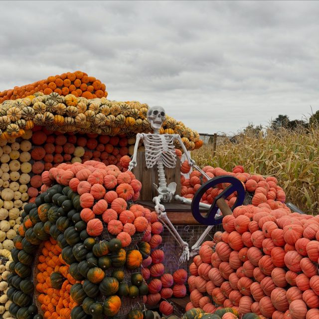Ein paar herbstliche Eindrücke der letzten Tage auf Pauls Bauernhof 🎃🍂🧡
Auch wenn das Wetter nicht immer mitspielt, gibt es in unserer Kürbiserlebniswelt jede Menge zu entdecken und zu erleben!
#kürbiserlebniswelt #paulsbauernhof #familienausflug