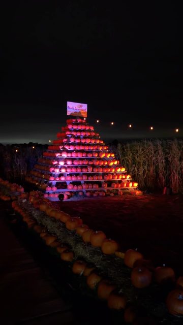 🎃 Halloween-Abenteuer für die ganze Familie!

Heute und morgen, am 23. und 24. Oktober, wird es bei uns im Maislabyrinth wieder ganz besonders stimmungsvoll: unsere Halloween Nights stehen wieder an - mit leuchtenden Kürbissen und einer ganz besonderen Atmosphäre 👻✨🕸️

📍 Maislabyrinth in Wallau
🕖 23. & 24. Oktober | jeweils bis 21:30 Uhr

Seid ihr dabei? 🎃🧡