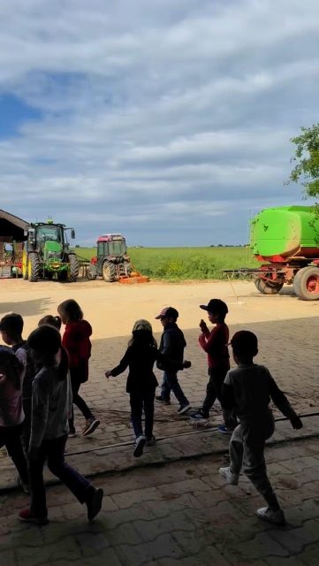 Ein Tag voller Erdbeeren, Lachen & kleiner Entdecker Heute war’s besonders süß bei uns auf dem Hof 🍓🌿Wir hatten eine fröhliche Kindergartengruppe zu Besuch – mit ganz viel Neugier, kleinen Händen und großer Begeisterung fürs Erdbeerpflücken 🧺#paulsbauernhof #erdbeeren #erdbeersaison #erdbeerenpflücken