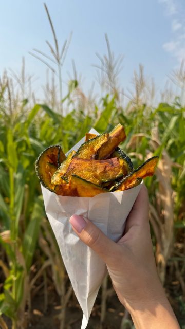 Unser erstes Wochenende im Maislabyrinth 🌽💛
Die ganze Arbeit hat sich gelohnt, wenn wir die leuchtenden Kinderaugen sehen und merken, wie viel Spaß ihr bei uns habt 🥹✨
Wir freuen uns auf eine tolle Saison voller Abenteuer, Lachen und ganz vieler schöner Momente im Mais!
Kommt vorbei – wir freuen uns auf Euch! 💛
📍An der Landstraße zwischen Hofheim-Wallau und Wiesbaden-Nordenstadt
🕐 Öffnungszeiten:
Montag - Freitag von 14–19 Uhr
Samstag, Sonntag & Feiertage von 10–19 Uhr
#maislabyrinth #kürbiserlebniswelt #hessen #hessen #ausflug