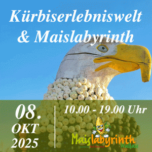 Kürbiserlebniswelt & Maislabyrinth<br>am 08.10.2025<br>10:00 - 19:00 Uhr