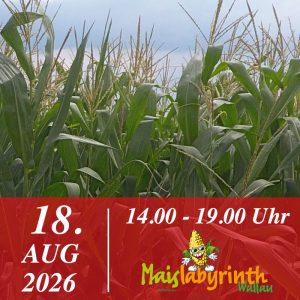 Maislabyrinth am 18.08.2026<br>14:00 - 19:00 Uhr