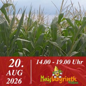 Maislabyrinth am 20.08.2026<br>14:00 - 19:00 Uhr