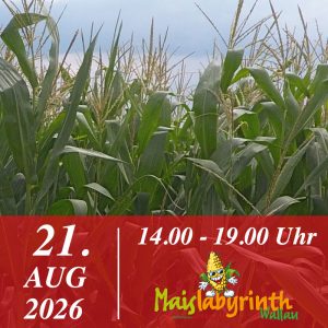 Maislabyrinth am 21.08.2026<br>14:00 - 19:00 Uhr