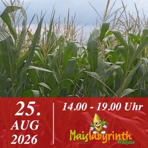Maislabyrinth am 25.08.2026<br>14:00 - 19:00 Uhr