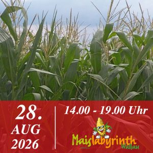 Maislabyrinth am 28.08.2026<br>14:00 - 19:00 Uhr