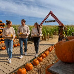 Herbstlicher Brunch mit Live-Musik! am 04.10.2026<br>10:00 - 14:00 Uhr