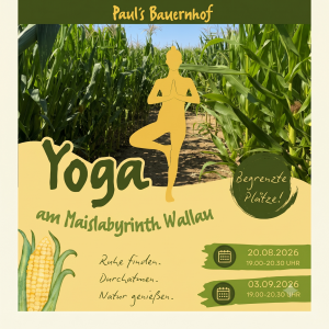 Yoga-Kurs am 03.09.2026<br>19.00 - 20.30 Uhr